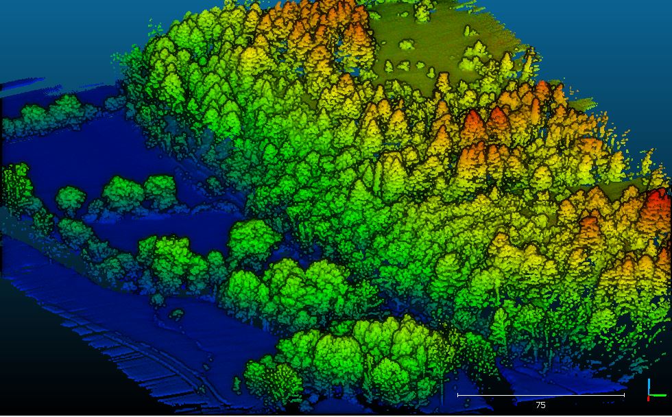 Relevé tridimensionnel du site de Roquemissou et de ses abords immédiats par LIDAR aéroporté sur drone